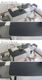 ����̵�� �����˥󥰥ơ��֥� ����ߥå��ơ��֥� �͹������� ñ�� ����120cm 140cm 160cm 180cm 2�ͳݤ� 2���� 4�ͳݤ� 4���� 6�ͳݤ� 6���� ����ߥå� ��� ŷ�� �Ѳٽ���70kg ��Ǯ������1500�� ������Ĵ �����˥� ����ơ��֥� ���å���ơ��֥����� �ȶ� dgtabled31