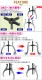 ����̵�� ��ư�� �����ס��顼 12����� ���ݤ��б����� ��120��300mm 3���� 2���� ���� �����ס��꡼ �ס��꡼ȴ�� ��ݤ� ���ݤ� 3���ޥס��顼 2���ޥס��顼 �٥���󥰥ס��顼 �٥���� ���� ���� �ס��顼 �ס��꡼ ����ȴ�� æ�� æ�幩�� �� gpullerm0112inch