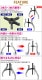 ����̵�� ��ư�� �����ס��顼 16����� ���ݤ��б����� ��150��400mm 3���� 2���� ���� �����ס��꡼ �ס��꡼ȴ�� ��ݤ� ���ݤ� 3���ޥס��顼 2���ޥס��顼 �٥���󥰥ס��顼 �٥���� ���� ���� �ס��顼 �ס��꡼ ����ȴ�� æ�� æ�幩�� �� gpullerm0116inch
