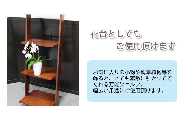 5段,ラダーシェルフ,5段シェルフ,オープンラック,ディスプレイラック