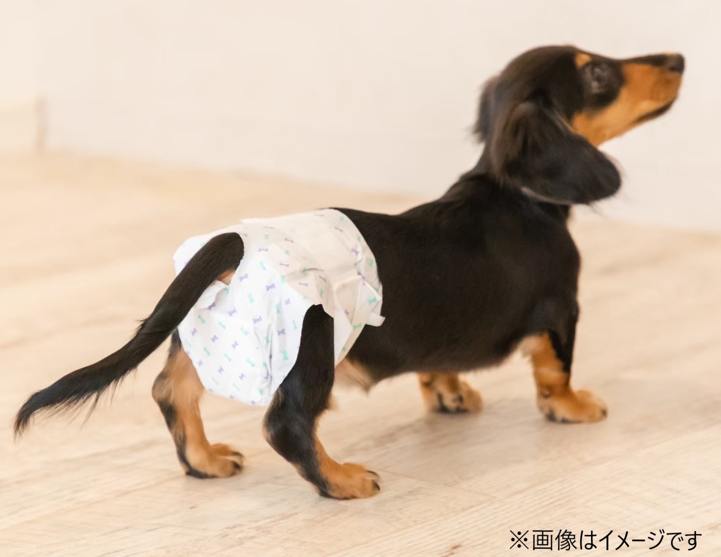 ペットの紙おむつ SS　20枚入り