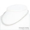 あこや真珠ベビーパールネックレス＜2.5〜3mm＞シルバー N-12538