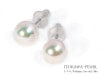 あこや真珠ピアス＜7.1mm＞スタッド・K14WG PE-7389