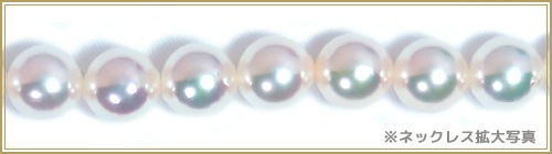 ּ  俿ͥå쥹7.58mm̽աN-11990