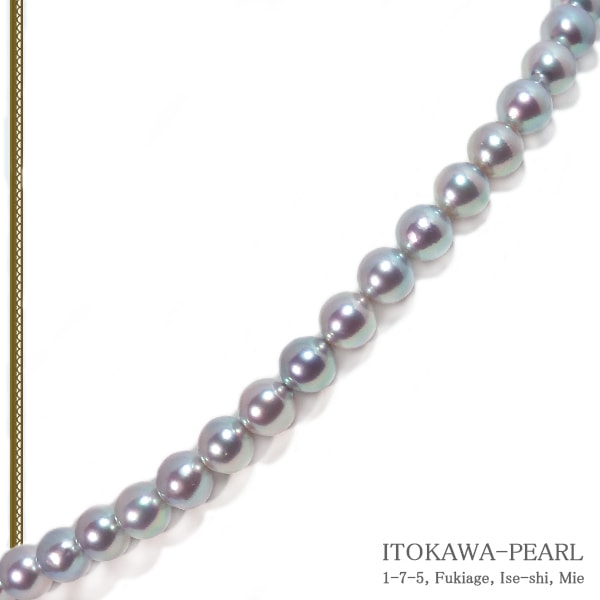 ֥롼졼̵Ĵ俿ͥå쥹88.5mm̽ N-12385