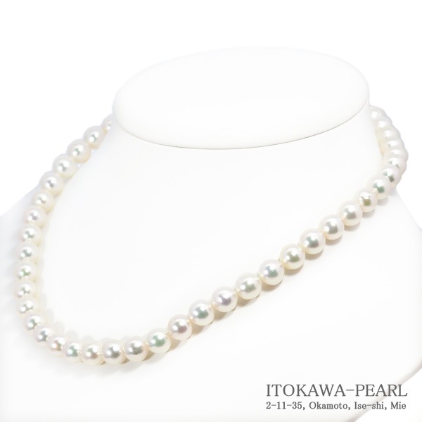 ̵Ĵ俿ѡͥå쥹8.59mmN-12877