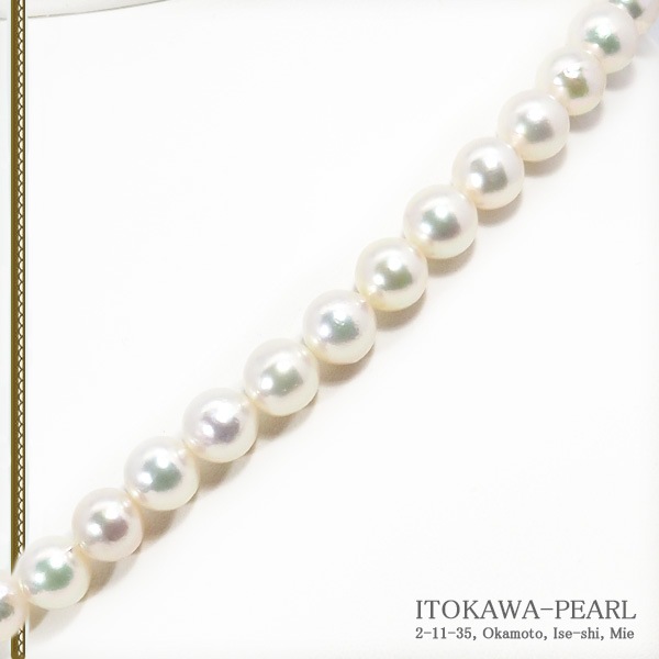 ̵Ĵ俿ѡͥå쥹8.59mmN-12877