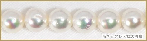 ̵Ĵ俿ѡͥå쥹8.59mmN-12877