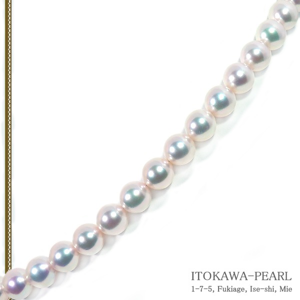 ŷּ俿ͥå쥹8.59mm̽ N-12021