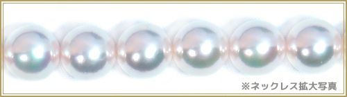 ŷּ俿ͥå쥹8.59mm̽ N-12021