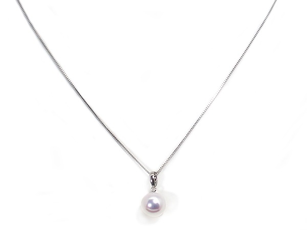 ̵Ĵ�� �����俿��ڥ����ȥȥåס�8.7mm��PT850 P-8508