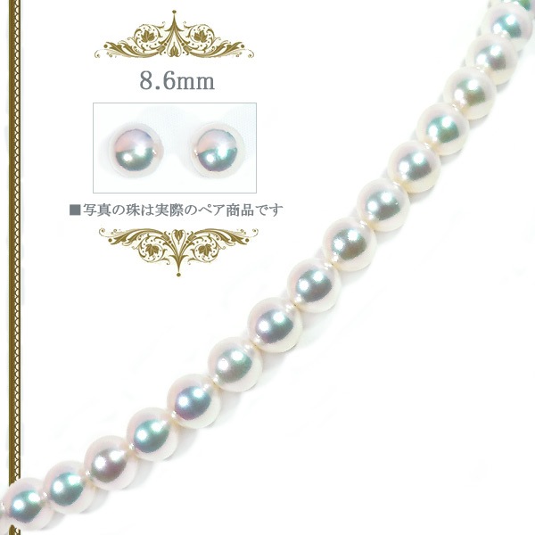 ŷ̵Ĵּåȡ8mm̽ NE-2101