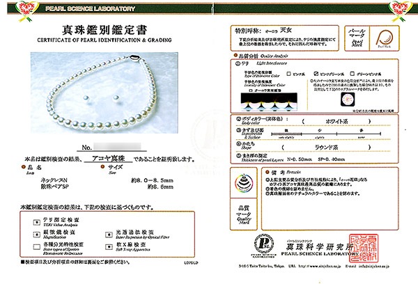 ŷ̵Ĵּåȡ8mm̽ NE-2101