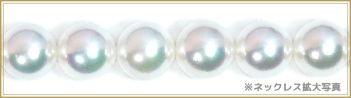 ŷ̵Ĵּåȡ8mm̽ NE-2101