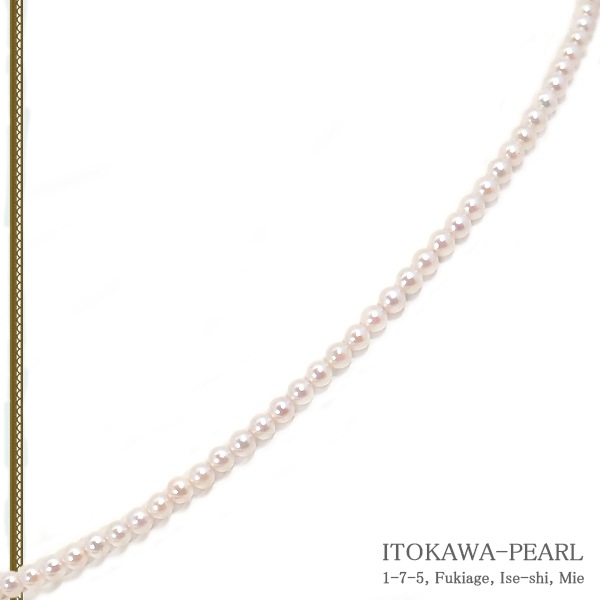 俿٥ӡѡͥå쥹2.53mm䥢㥹С N-12878