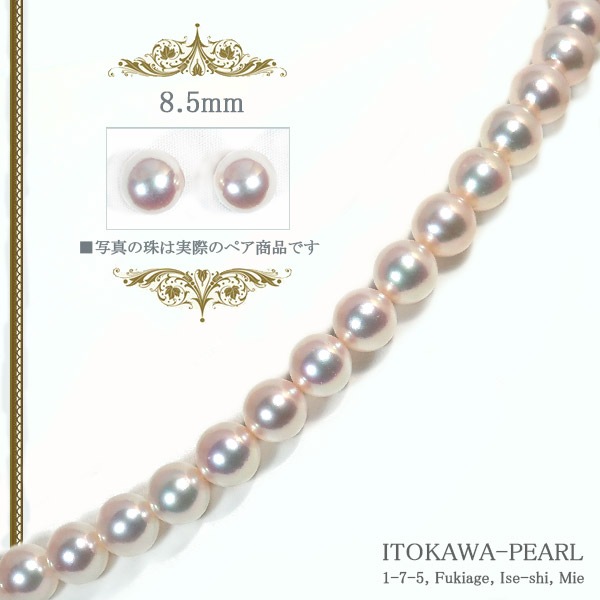 ��������ŷ�� �ּ������åȤ����俿��ͥå��쥹��8mm�� ���̽��� NE-1954