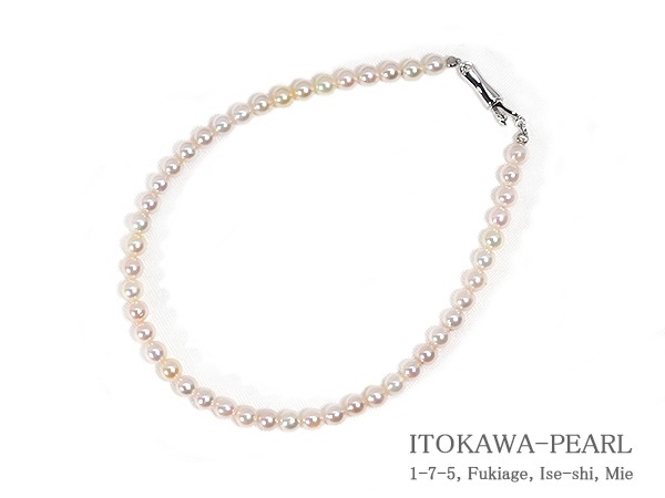 �����俿��֥쥹��åȡ�3��3.5mm�亹�����߼�/����С���18cm��V-1764