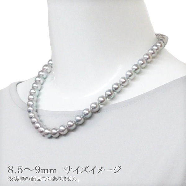 졼 俿ѡͥå쥹8.59mmN-12443