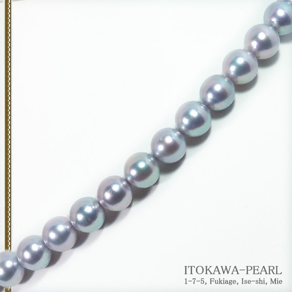 졼 俿ѡͥå쥹8.59mmN-12443