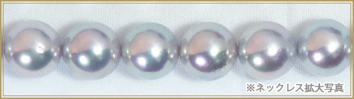 졼 俿ѡͥå쥹8.59mmN-12443