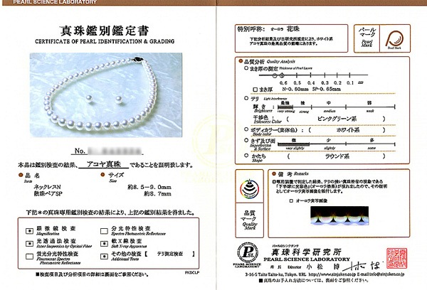 �ּ������åȤ����俿��ͥå��쥹��8.5mm����̽��� NE-1907