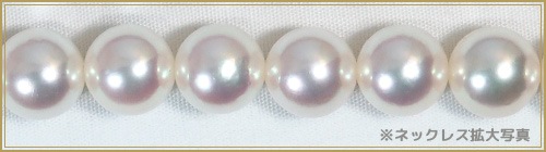 �ּ������åȤ����俿��ͥå��쥹��8.5mm����̽��� NE-1907