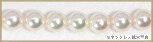 åȤ俿ͥå쥹7.5mmNE-2429