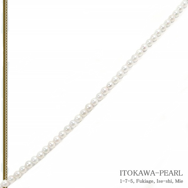 ٥ӡѡ󥰥ͥå쥹(50cm)俿ͥå쥹2.53mmN-12935