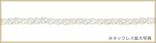 ٥ӡѡ󥰥ͥå쥹(50cm)俿ͥå쥹2.53mmN-12935