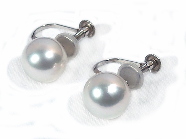 ���ο���(��ĳ����) �����󥰡�9.5������ͥ������ץ���� E-4185