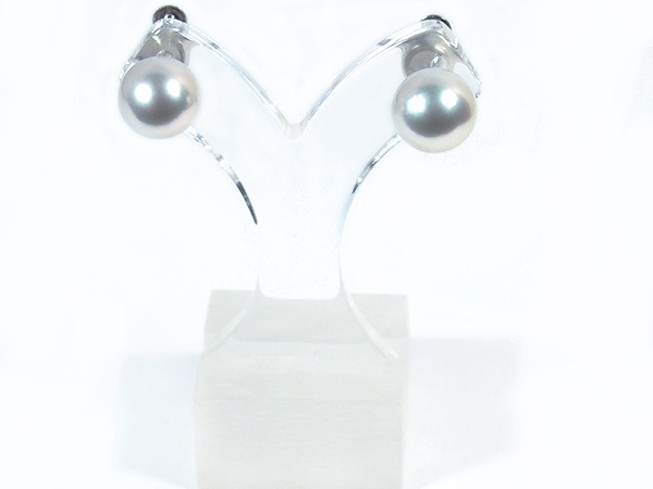 ���ο���(��ĳ����) �����󥰡�9.5������ͥ������ץ���� E-4185