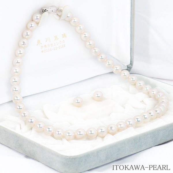 �������å� �����俿��ͥå��쥹��8.5mm��NE-2415