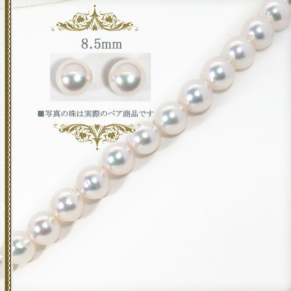 �������å� �����俿��ͥå��쥹��8.5mm��NE-2415
