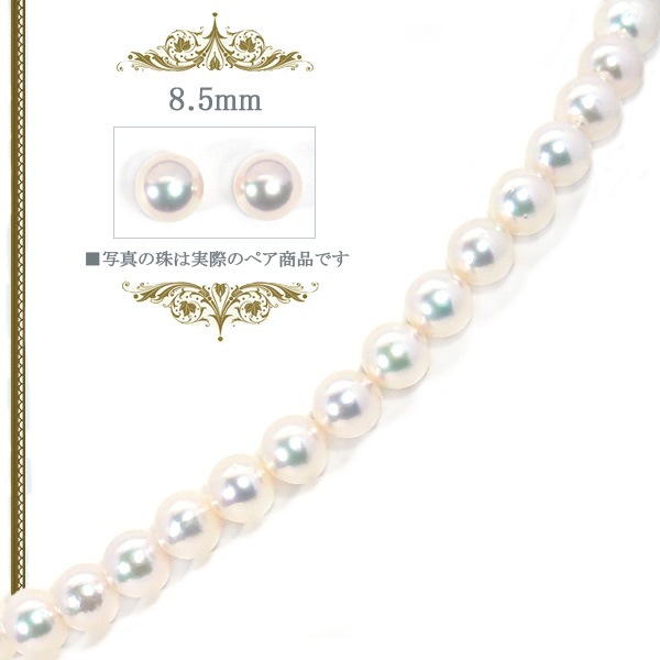 �������å� �����俿��ͥå��쥹��8.5mm��NE-2416