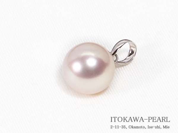 俿ڥȥȥåס9.7mmPt850 P-8487