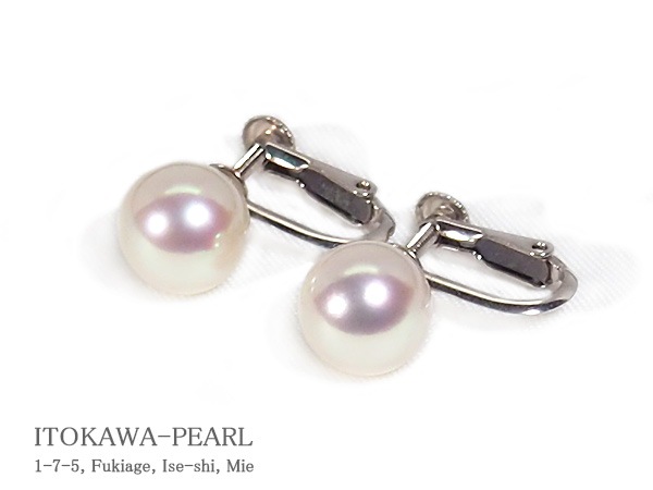 ̵Ĵ�� �����俿����󥰡�8.9mm��ͥ��Хͼ�������С� E-4835