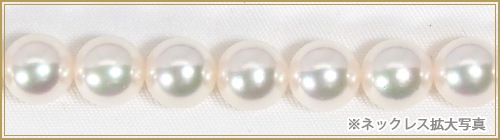 �ּ������åȤ����俿��ͥå��쥹��7.5mm����̽��� NE-2399