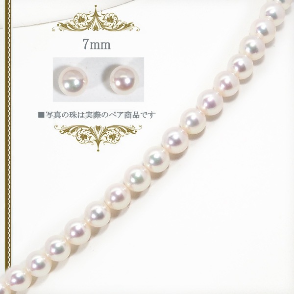 åȤ俿ͥå쥹6.5mmNE-280