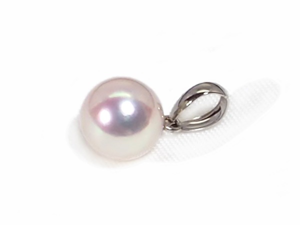 ̵Ĵ�� �����俿��ڥ����ȥȥåס�8mm��PT850 P-8512