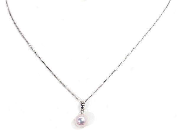 ̵Ĵ�� �����俿��ڥ����ȥȥåס�8mm��PT850 P-8512