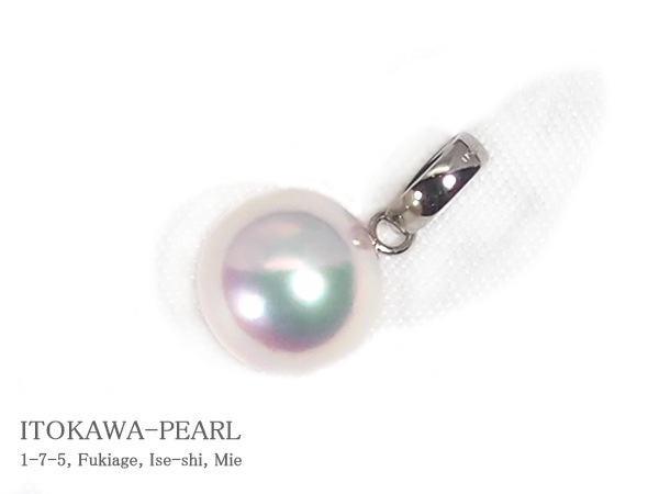 ̵Ĵ�� �����俿��ڥ����ȥȥåס�8.3mm��PT850 P-8514