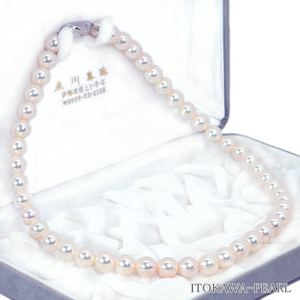 俿ѡͥå쥹8.59mmN-12589