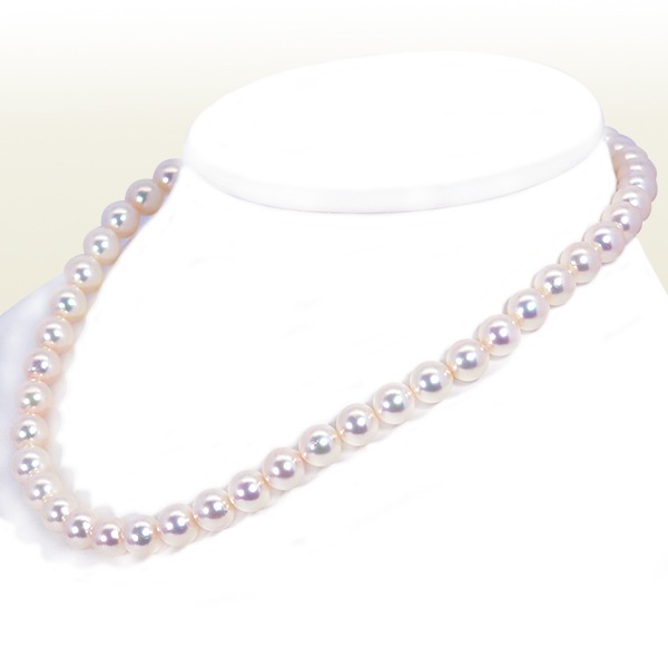 俿ѡͥå쥹8.59mmN-12589