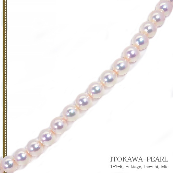 俿ѡͥå쥹8.59mmN-12589