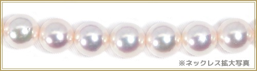 俿ѡͥå쥹8.59mmN-12589