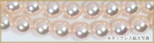 󥰥ͥå쥹(125.5cm)俿ͥå쥹6.57mmN-12209