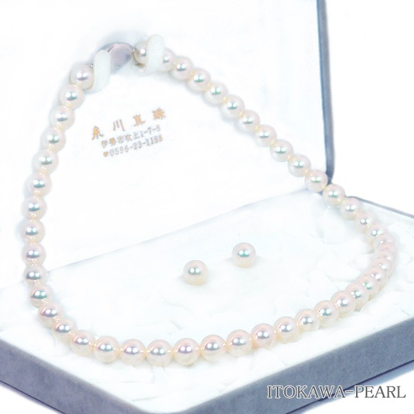 ּ ƣå ʥۥ磻ȥ顼8.5mm̽ NE-2080