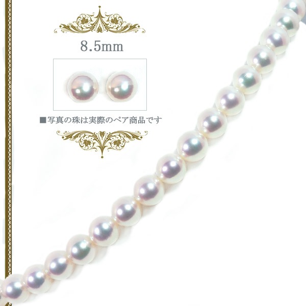 ּ ƣå ʥۥ磻ȥ顼8.5mm̽ NE-2080