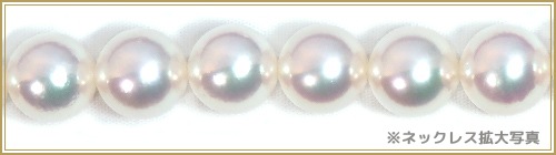 ּ ƣå ʥۥ磻ȥ顼8.5mm̽ NE-2080