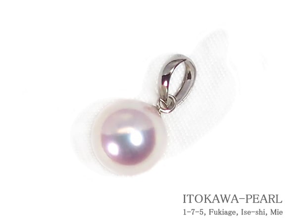 ̵Ĵ�� �����俿��ڥ����ȥȥåס�8.5mm��PT850 P-8493